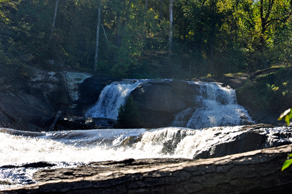 branches across High Falls