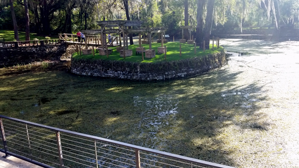 Radium Springs