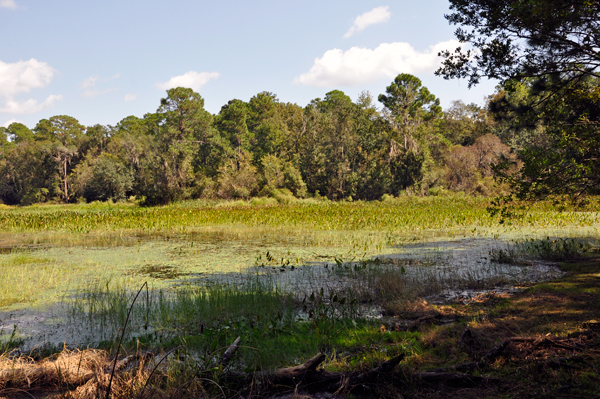 view from Plum Orchard Pond Trail sign