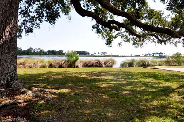 picnic area