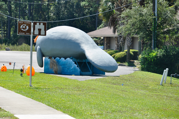 a giant manatee