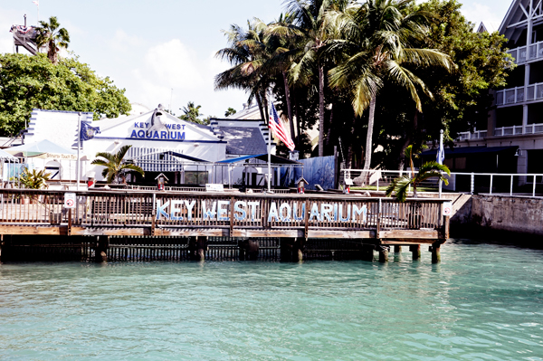 outside the Key West Aquarium