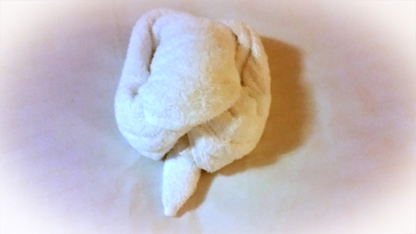 towel animal