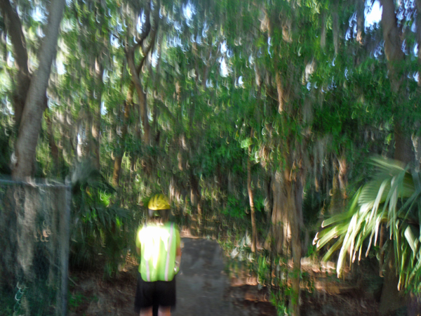 Segway ride through Palm Island Park