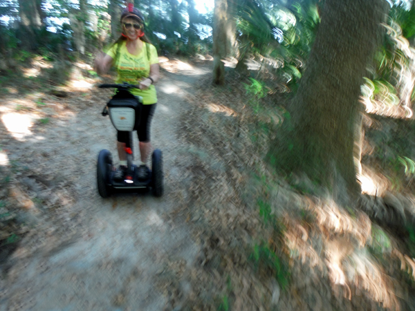 Segway ride through Palm Island Park