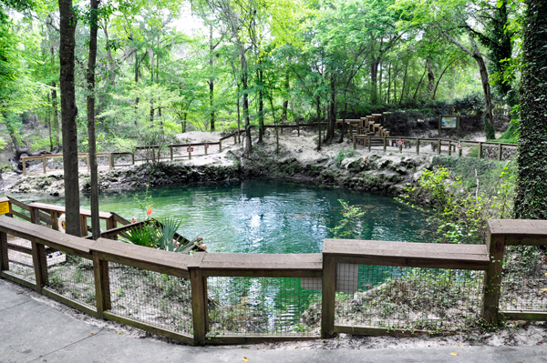 Madison Blue Spring State Park