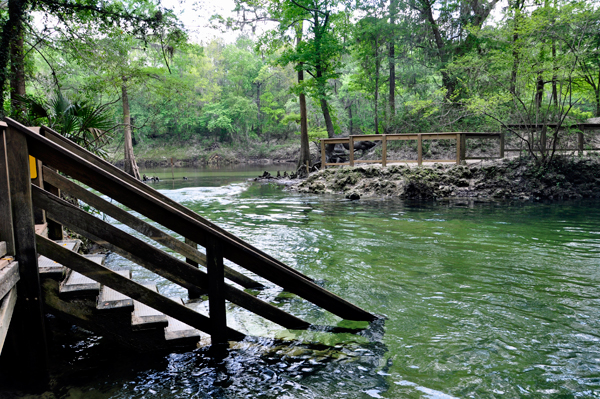 Madison Blue Spring State Park