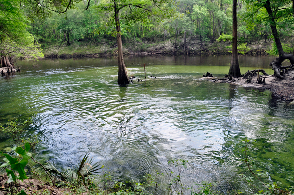 Madison Blue Spring State Park