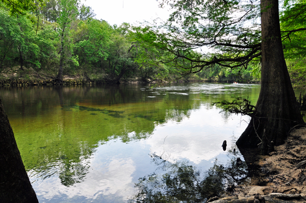 Madison Blue Spring State Park