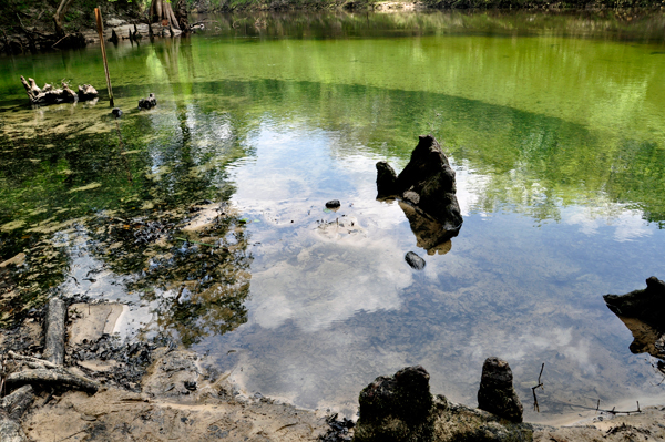 Madison Blue Spring State Park