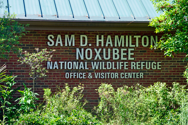 Sam D Hamilton Noxubee National Wildlife Refuge sign