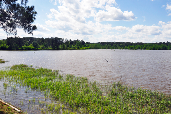 Bluff Lake, behind the Visitor Center