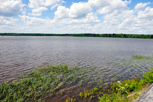 Bluff Lake, behind the Visitor Center