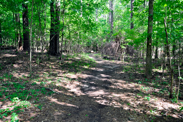 woodpecker trail