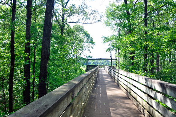 Goose overlook boardwalk