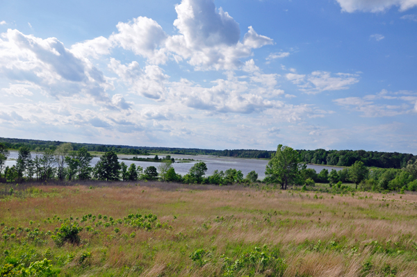 view from the overlook