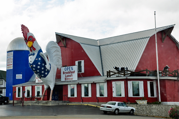 big chicken restaurant