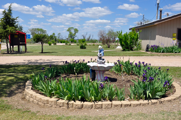 Belvidere East KOA garden