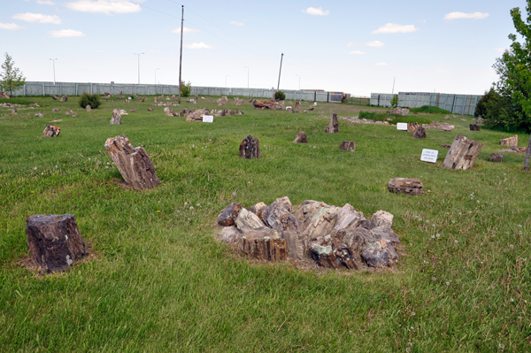 Badlands Petrified Gardens 