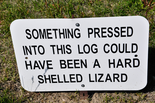 sign about hard shelled lizard