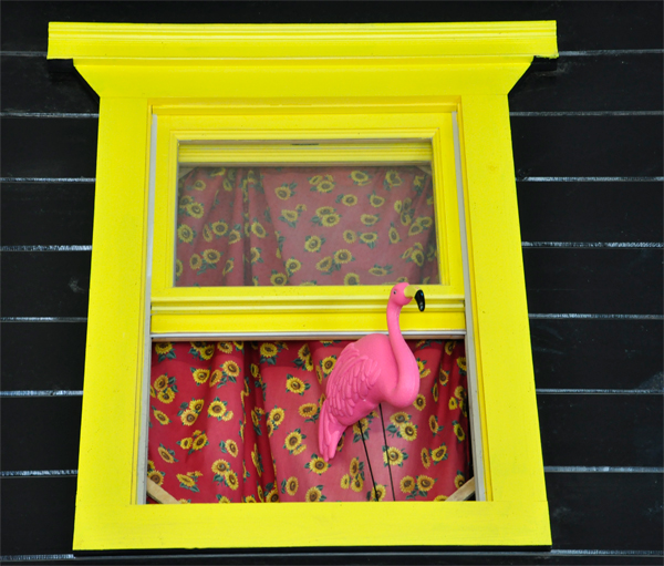 a pink Flamigo in a window
