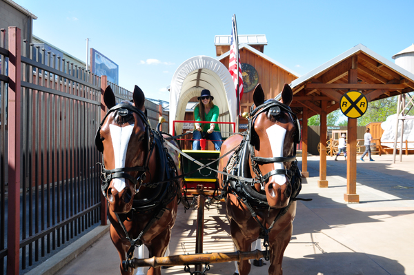 Karen Duquette driving a horse-drawn covered wagon