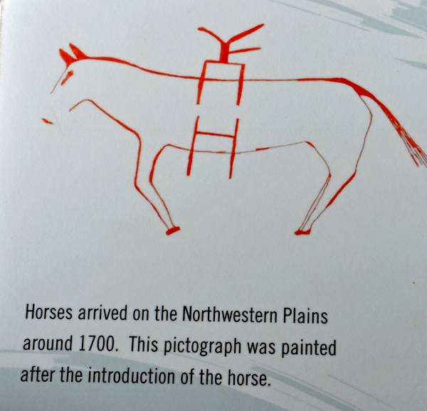 horse drawing