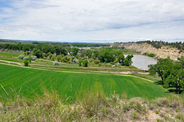 view from boardwalk to the top of Pompeys Pillar