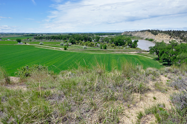 view from boardwalk to the top of Pompeys Pillar