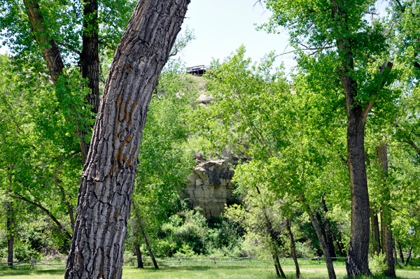 view of the top observation point at Pompeys Pillar