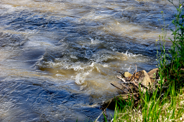 the Yellowstone River