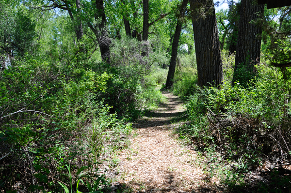 another trail