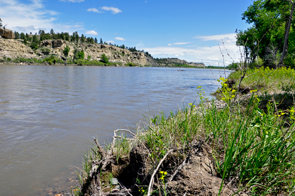 the Yellowstone Riverv