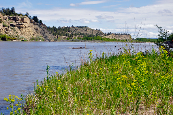 the Yellowstone River