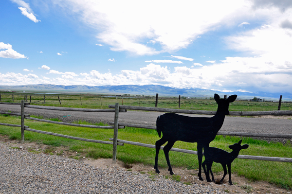 wooden deers