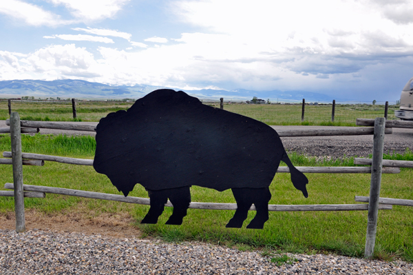 wooden buffalo cutout