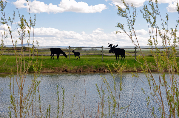 wooden moose by the pond