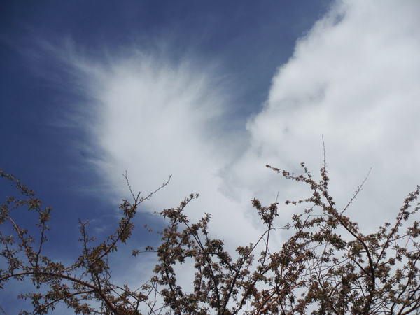 clouds in the sky