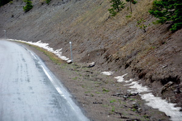 snow in the ditch