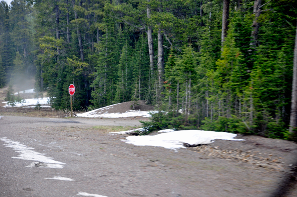 snow on the road