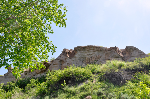 the top of the cliff.