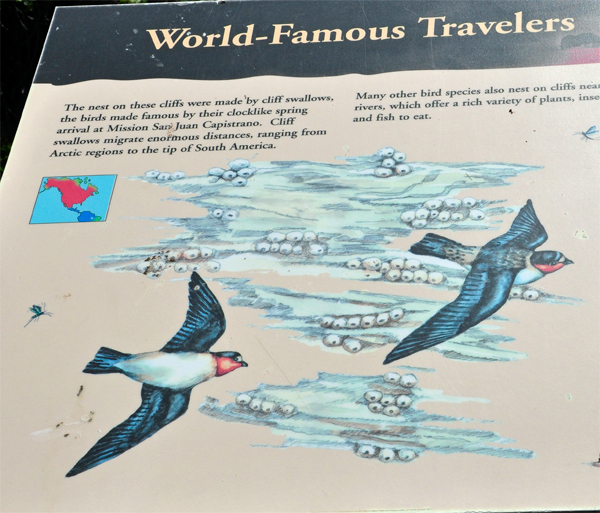 sign about world famous traveler birds