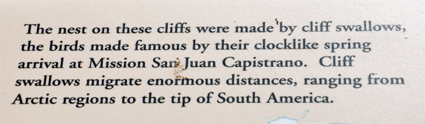 sign about cliff swallows