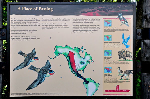 sign about other birds and wildlife