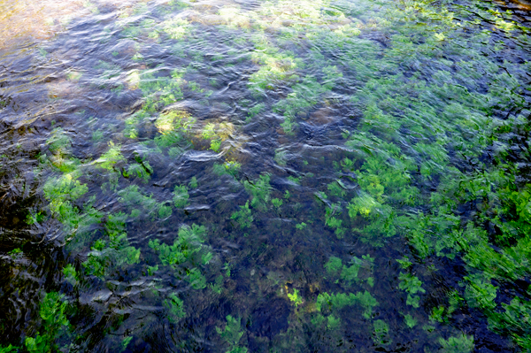 crystal clear water