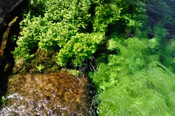 crystal clear water