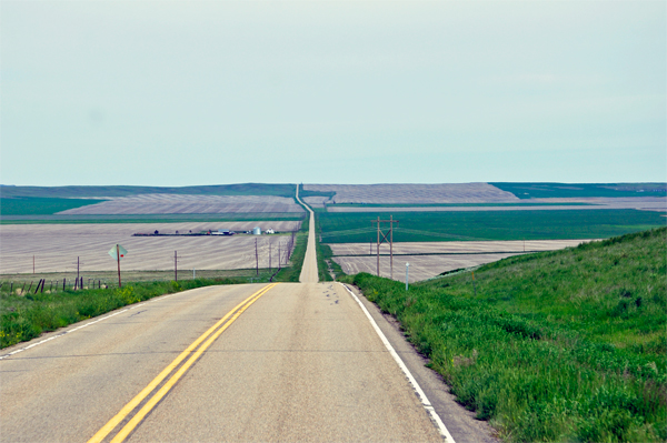 peaceful, rolling hills in Montana