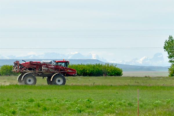 a tractor on a side, dirt road