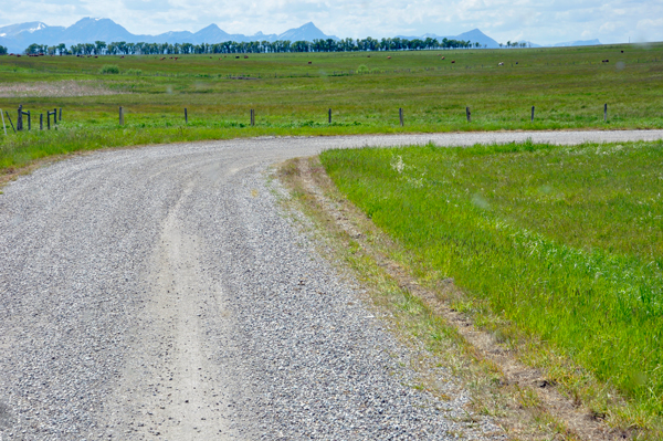 nasty dirt road leading to the campground