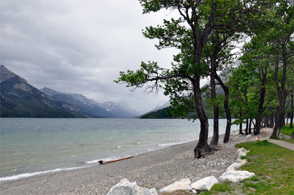 Bertha Lake in Waterton Lakes National Park